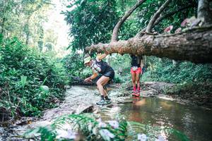 BIB: 
                            <button type="button" onclick="openModal(25436228)" class="btn btn-primary btn-sm float-right btn-popup" data-toggle="modal" data-target=".modal-high-quality">
                        <i class="fas fa-shopping-cart"></i> Add to Cart
                    </button>
                                            <button type="button" onclick="isThisMe(25436228, true)" class="btn btn-success btn-sm float-right btn-popup btn-isme hidden" data-toggle="tooltip" data-placement="bottom" title="นี่คือรูปของคุณใช่ไหม คลิกที่นี่เพื่อเอาเข้าอัลบั้ม">
                        <i class="fas fa-plus"></i> Add to album
                    </button>
                    <button type="button" onclick="isThisMe(25436228, false)" class="btn btn-warning btn-sm float-right btn-popup btn-isnotme hidden">
                        <i class="fas fa-ban"></i> Remove from album
                    </button>